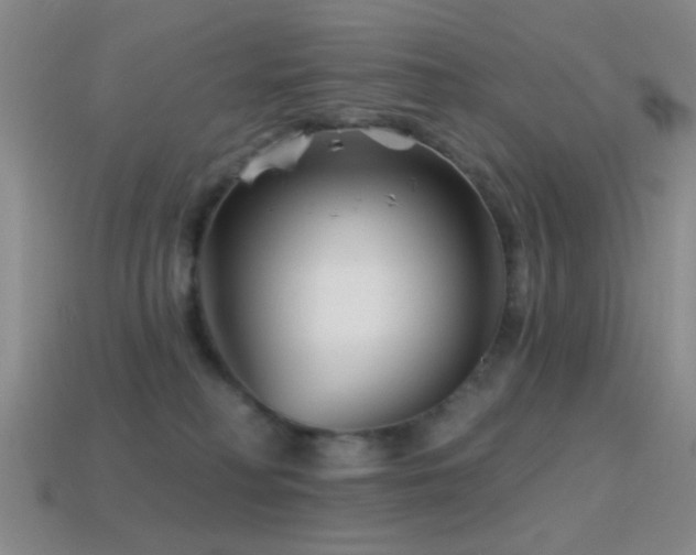 X0000114400230200910161322