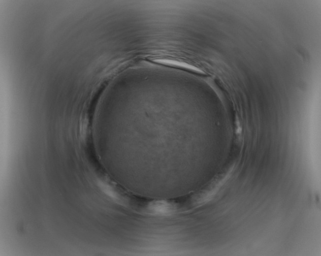 X0000114400231200910161322