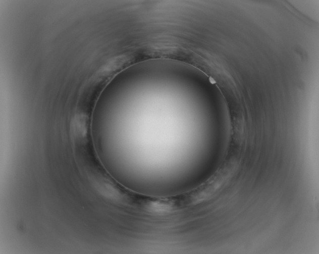 X0000114400232200910161322