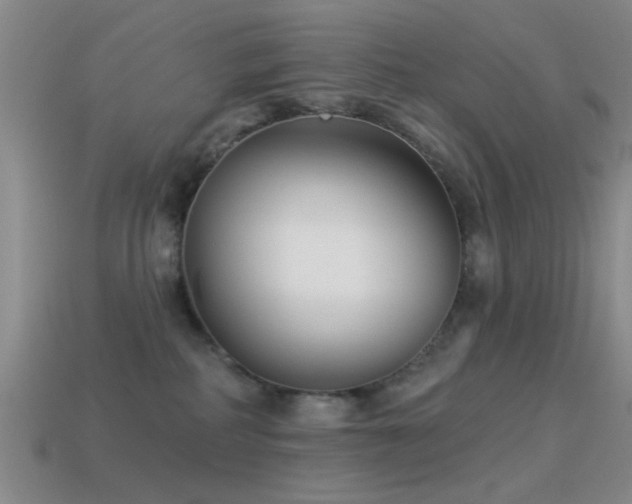 X0000114400234200910161322