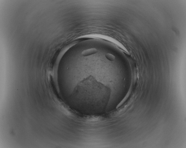 X0000114400235200910161322