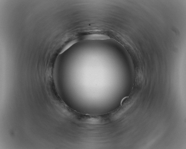 X0000114400236200910161322