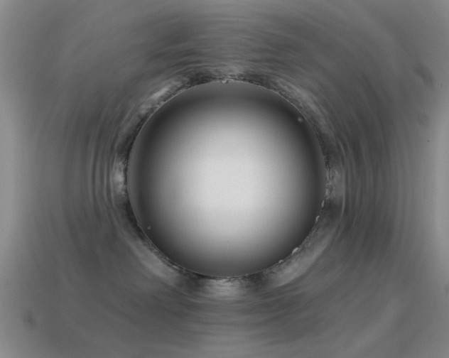 X0000114400238200910161322