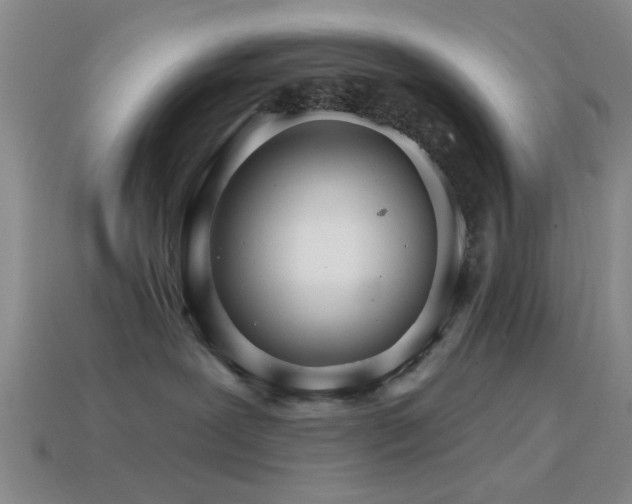 X0000114400239200910161322