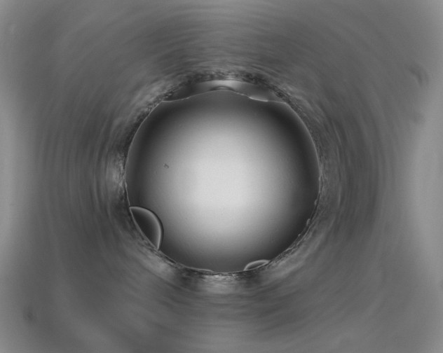 X0000114400240200910161322