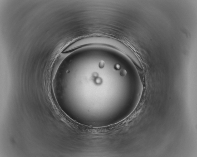 X0000114400241200910161321