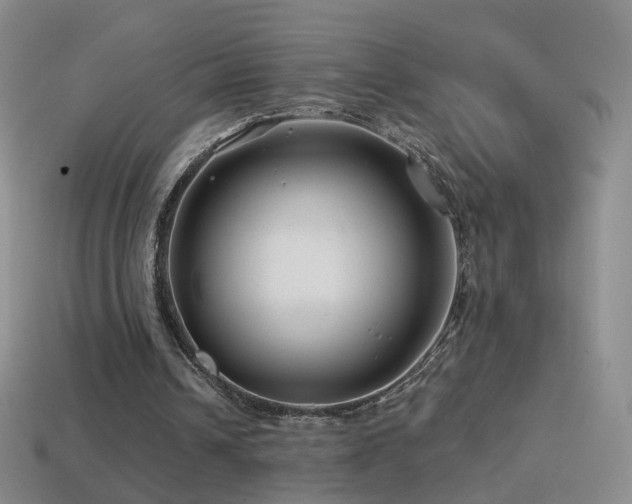 X0000114400242200910161321