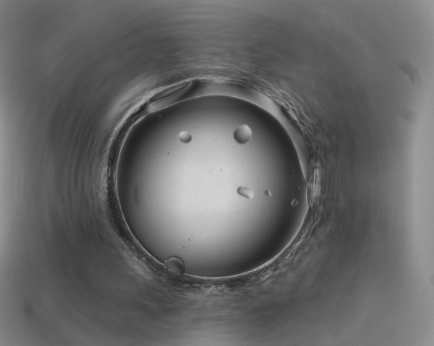 X0000114400243200910161321