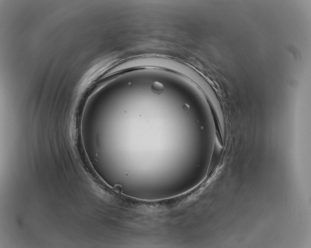 X0000114400245200910161321