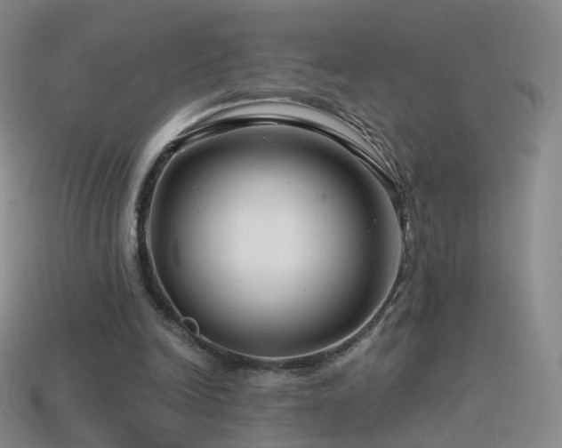 X0000114400246200910161321