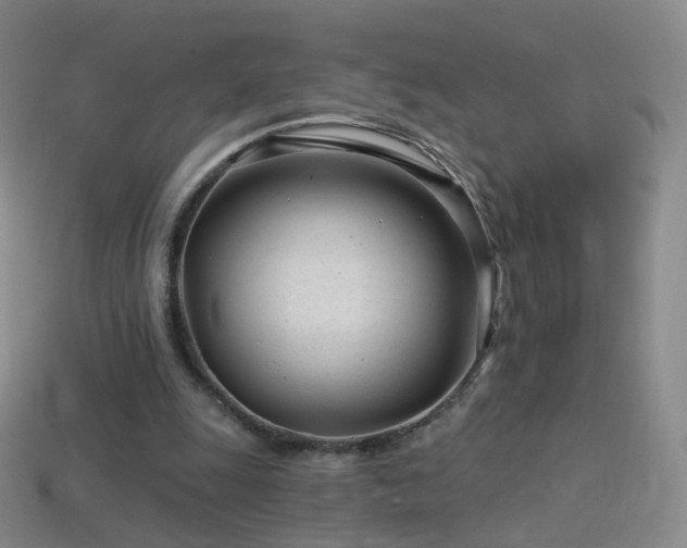 X0000114400247200910161321