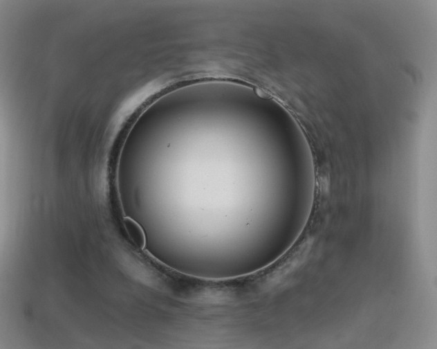 X0000114400248200910161321