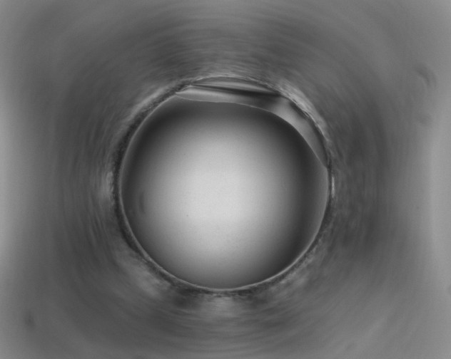 X0000114400249200910161321