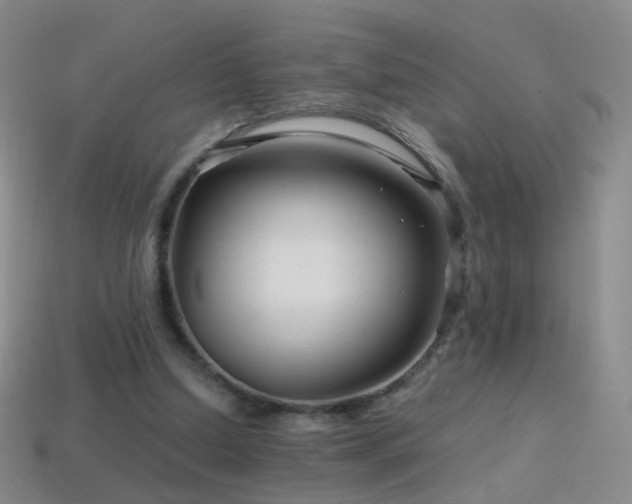 X0000114400250200910161321