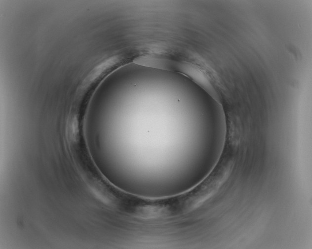 X0000114400251200910161321