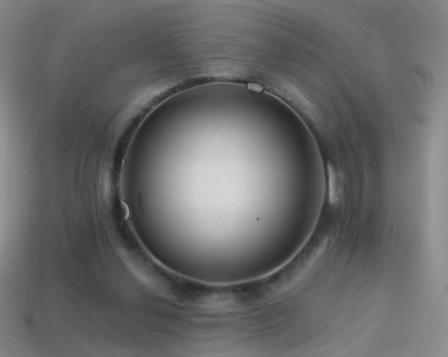 X0000114400252200910161321