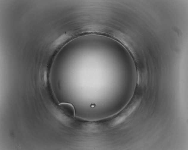 X0000114400253200910161321