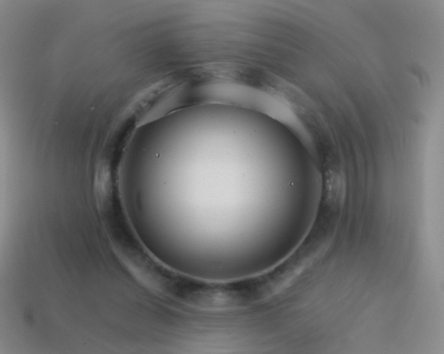 X0000114400254200910161321