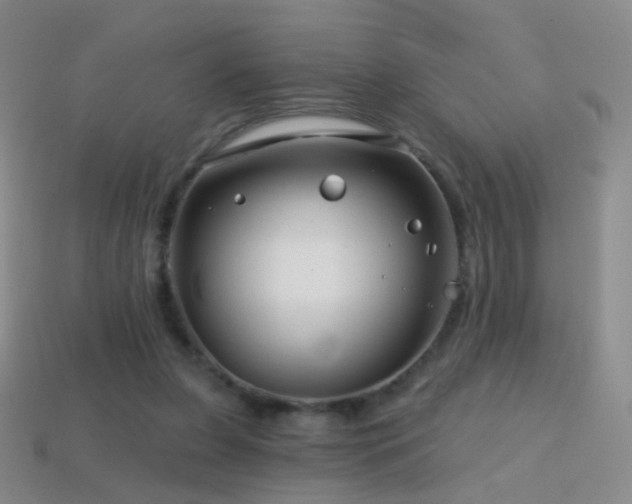 X0000114400255200910161321