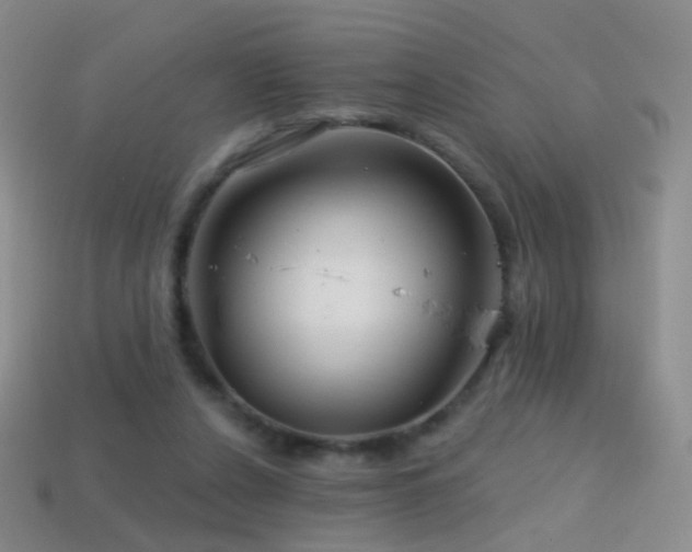 X0000114400256200910161321