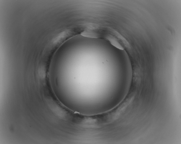 X0000114400257200910161321