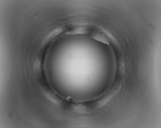 X0000114400258200910161321