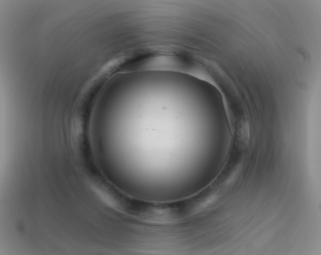 X0000114400260200910161321