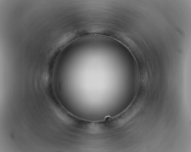 X0000114400261200910161321