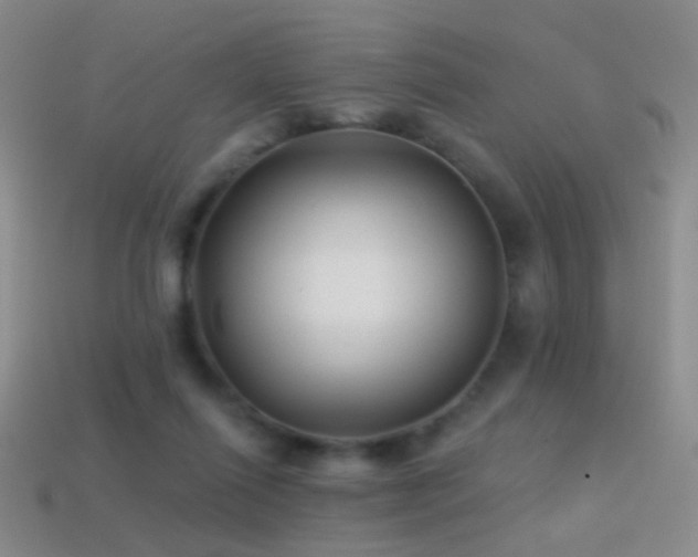 X0000114400262200910161321