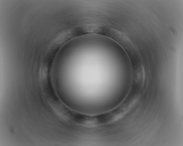 X0000114400263200910161321