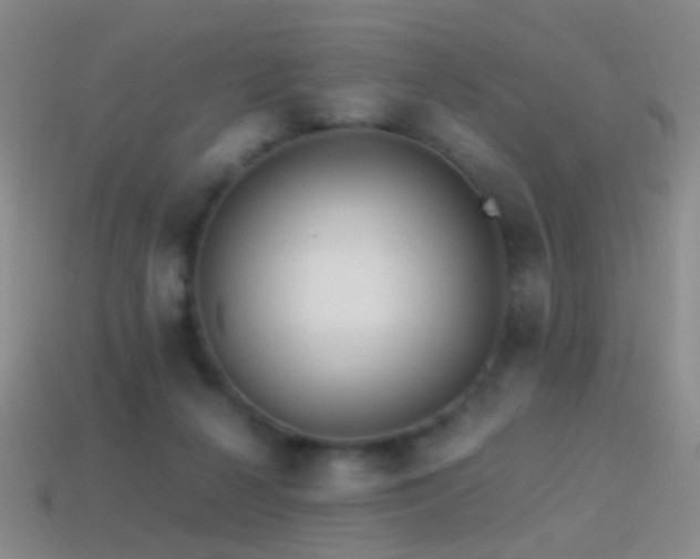 X0000114400264200910161321