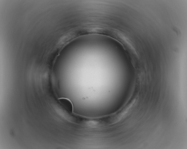 X0000114400265200910161321