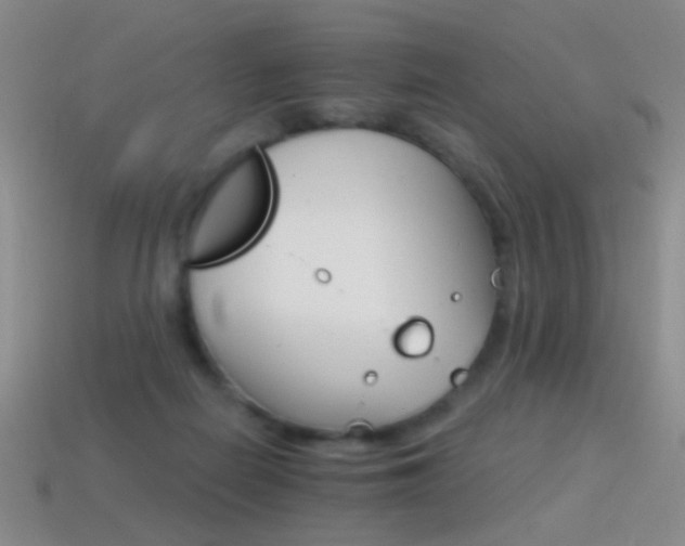 X0000114400266200910161321