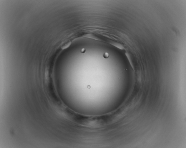 X0000114400267200910161322