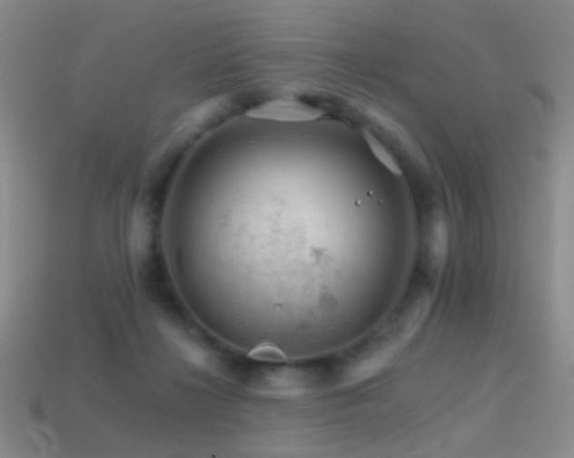 X0000114400268200910161322