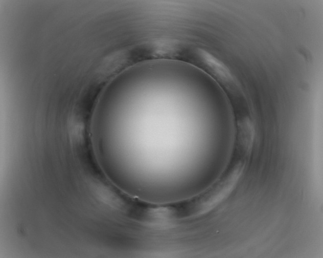 X0000114400269200910161322