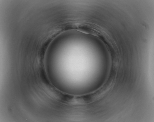 X0000114400270200910161322