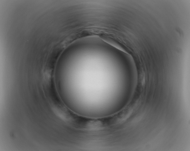 X0000114400271200910161322