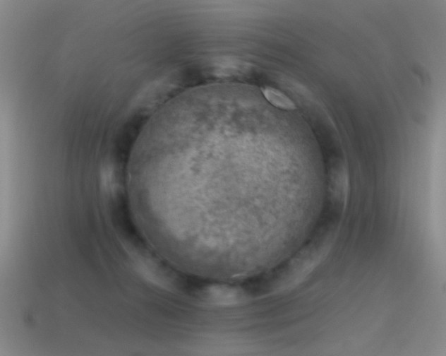 X0000114400272200910161322