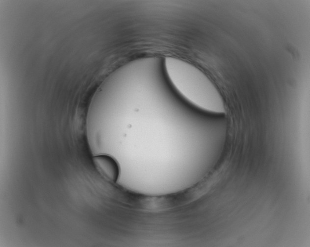 X0000114400273200910161322