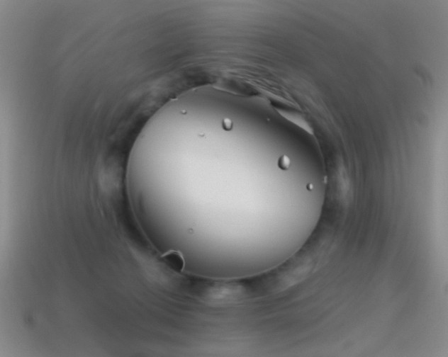 X0000114400274200910161322