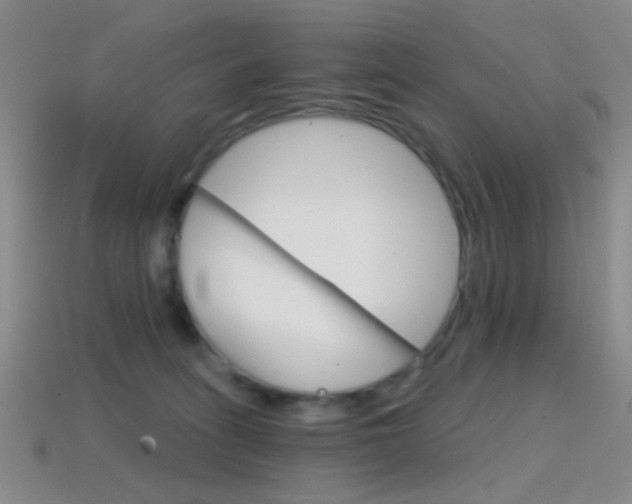 X0000114400275200910161322