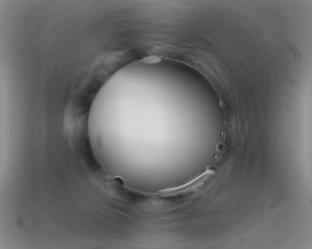 X0000114400276200910161322