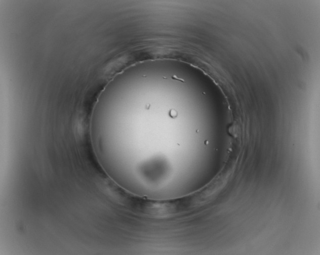 X0000114400277200910161322