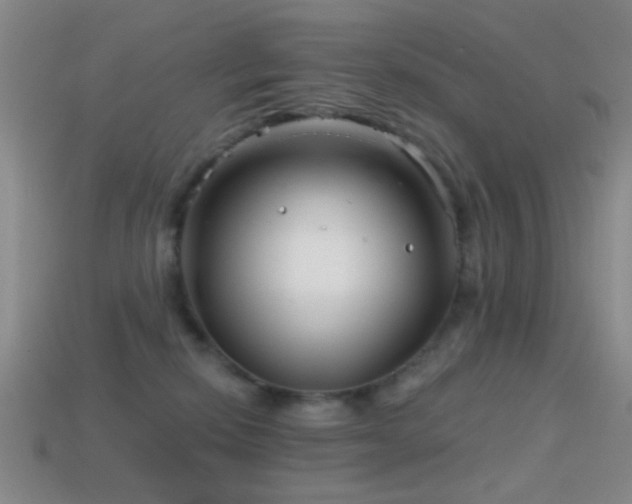 X0000114400278200910161322