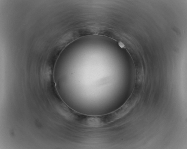 X0000114400279200910161322