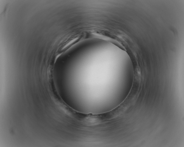 X0000114400280200910161322