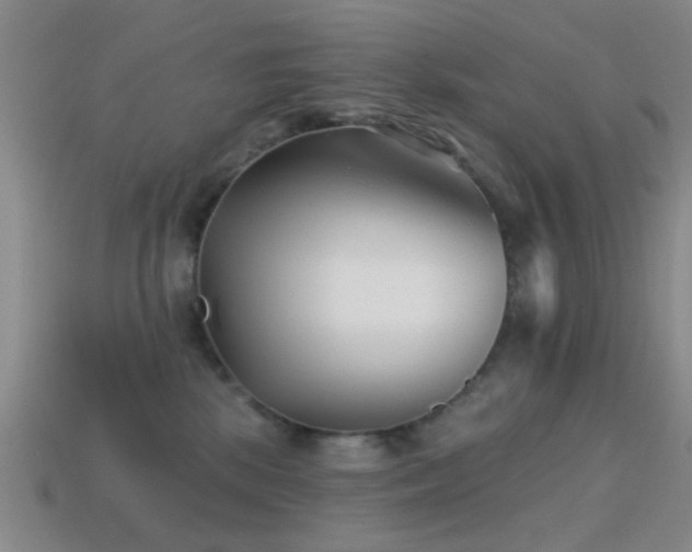 X0000114400281200910161322