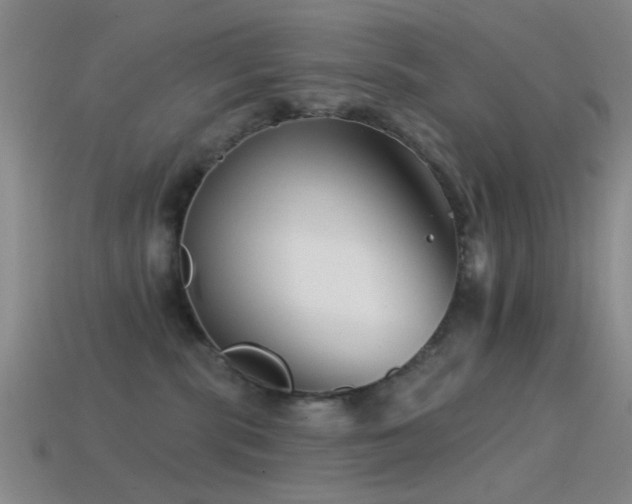 X0000114400283200910161322