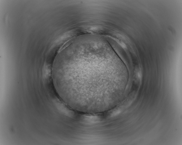 X0000114400284200910161322